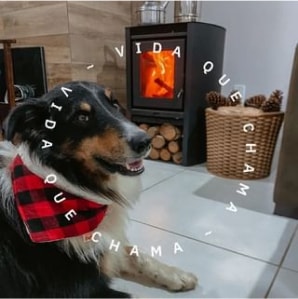 Instagram Metavila Instagram Metavila
